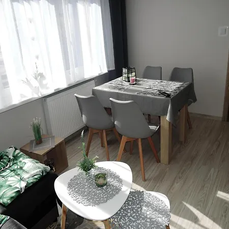 Apartment In Near Baltic Sea *