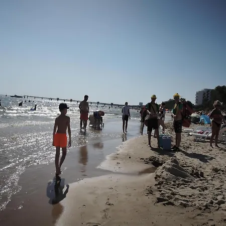 In Near Baltic Sea * Dziwnow